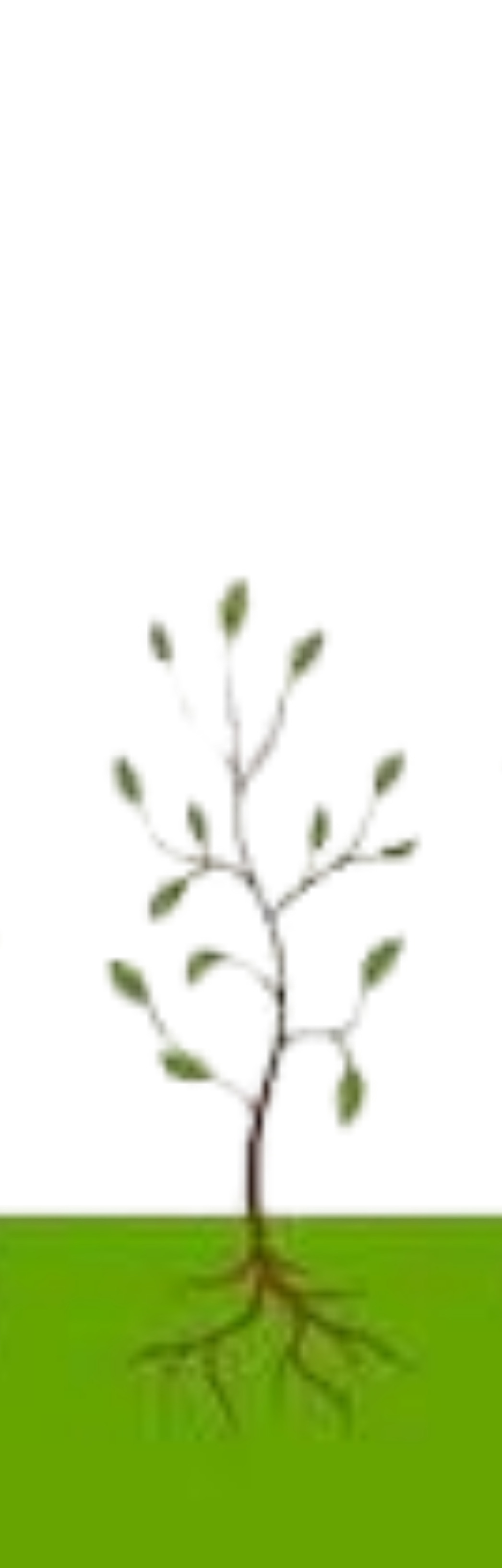 Growing Tree